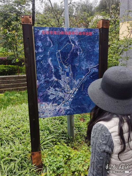 2021年文艺创作课题调研 动漫游戏开发的新趋势与挑战