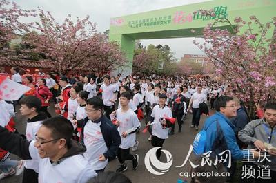 文旅融合新篇章 十二金钗大观园旅游文化节启幕，千名跑友共助南川'双晒'与文艺创作开发